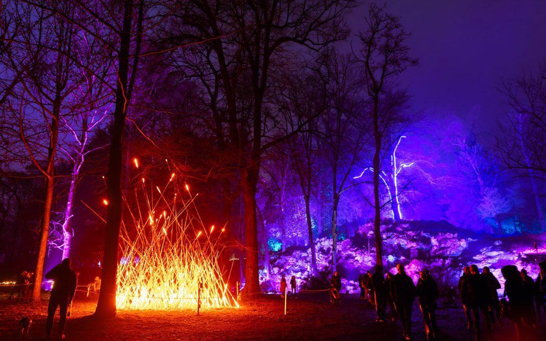 Nuova edizione di “Trame di luce” a Roma All’Orto Botanico della Sapienza