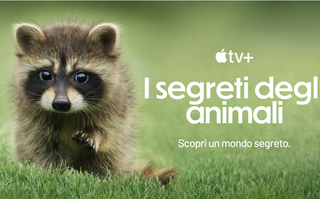 “I segreti degli animali” è la nuova docuserie naturalistica in arrivo il 18 dicembre su Apple TV+